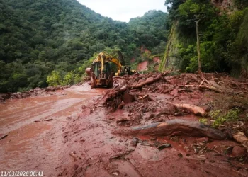 Derrumbes y mazamoras dejan instransitable la carretera Tarija - Entre Ríos. FOTO: ABC