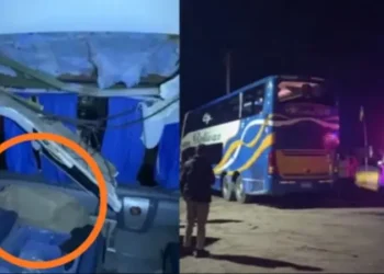 bus