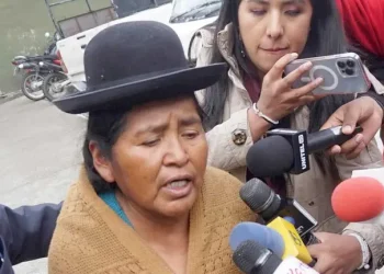 Fondo Indígena: Justicia dispone nueva detención preventiva para Elvira Parra
