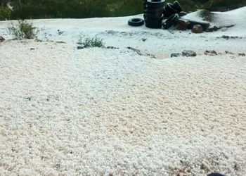 INSA activa apoyo a familias productoras afectadas por granizada en Cotagaita
