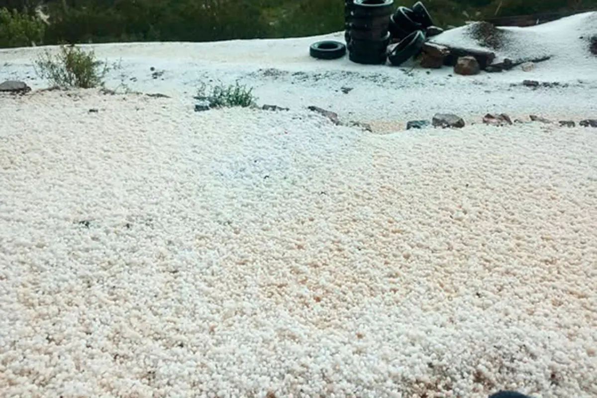 INSA activa apoyo a familias productoras afectadas por granizada en Cotagaita