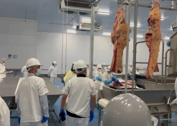 carne