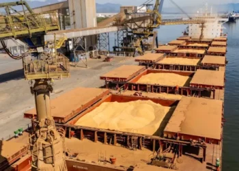 Brasil registra exportaciones agropecuarias récord