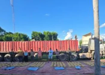 FELCN secuestra más de 440 kilos de droga en cinco departamentos
