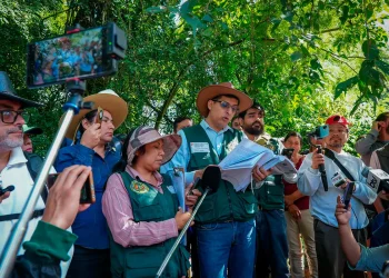 Inspección confirma que Domo Oso-X3 está fuera de la Reserva de Tariquía