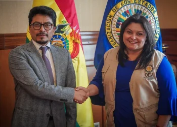 Subnacionales: Misión de Observación de la OEA se reúne con el canciller