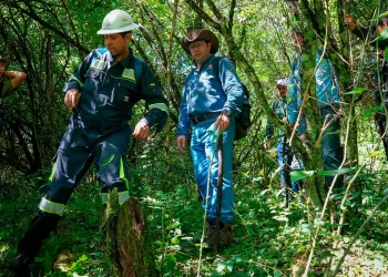 YPFB garantiza que proyecto Domo Oso X3 no afectará Reserva de Tariquía