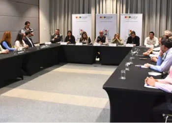 Observadores resaltan la transparencia de las subnacionales