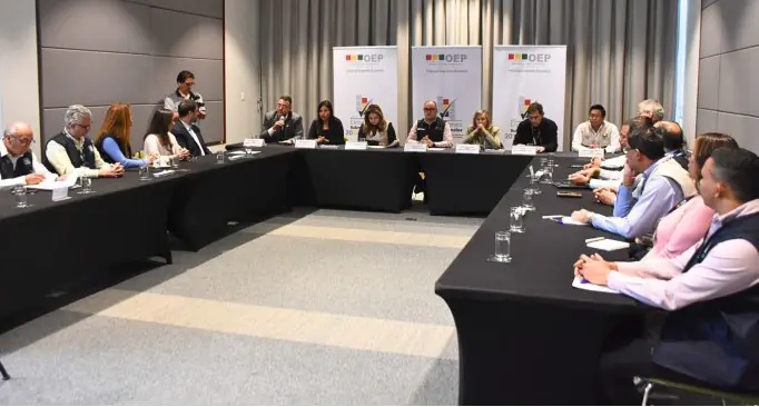 Observadores resaltan la transparencia de las subnacionales
