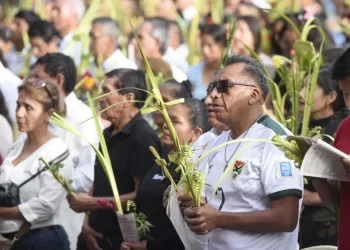 El Domingo de Ramos reúne a fieles en todo el país