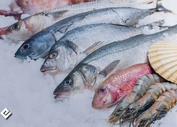 Importaciones de pescado en Bolivia caen de $us 25 a 9 MM en seis años