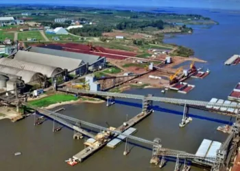 Nueva Palmira se perfila como eje clave para exportaciones bolivianas por la Hidrovía