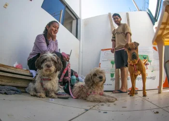 La Alcaldía de Cochabamba realizó 24.000 esterilizaciones a canes. FOTO: GAMC