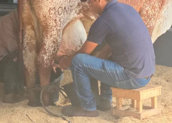 agropecruz.jpg