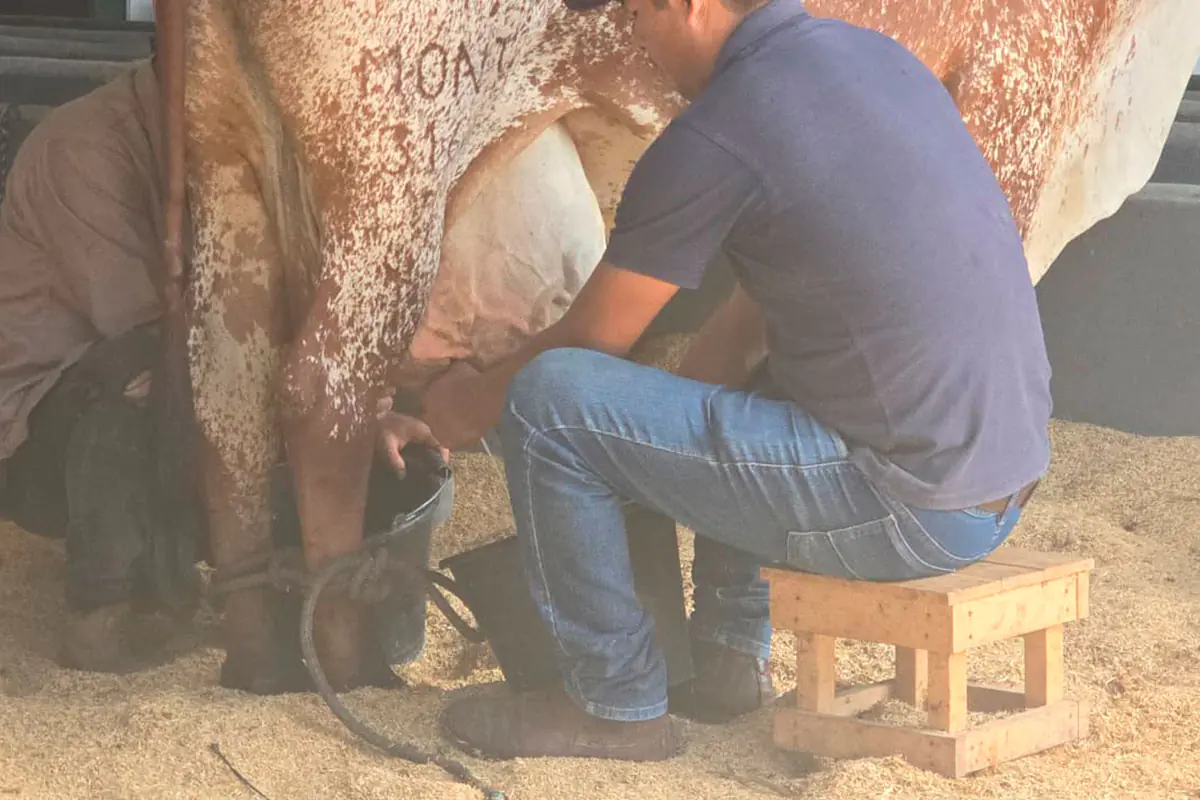agropecruz.jpg