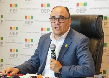 El presidente el TSE Gustavo Ávila, dio detalles del proceso contra NGP/Archivo