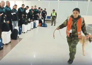 Alcantarí se fortalece con la llegada de más vuelos internacionales