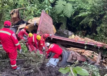 Rescatistas demoraron ocho horas en llegar a donde quedó el camión/RRSS
