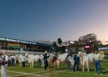 Fiscalía coordinará labores para frenar avasallamientos y abigeato y dar certidumbre al agro