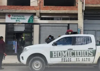 La mujer fue hallada sin vida en una farmacia de la avenida Cívica de El Alto. FOTO: RRSS