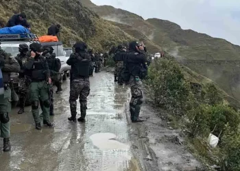 Policía presenta denuncia por violento ataque en operativo en Sorata