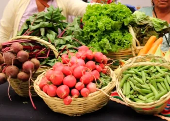 El Alto acoge la primera feria “Bolivia Produce” con alimentos a precio accesible