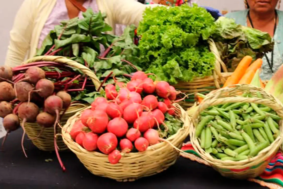 El Alto acoge la primera feria “Bolivia Produce” con alimentos a precio accesible