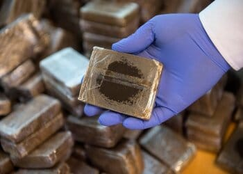 Reunión con la DEA devela ingreso de hachís a Sudamérica; Bolivia respalda reforzar controles