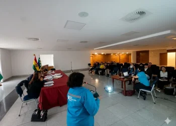 La representante de Aldeas Infantiles SOS Bolivia socializa el proyecto de ley con legisladores. FOTO: Aldeas Infantiles SOS