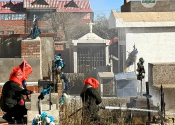 El personal de Bomberos trabajó en la contención del enjambre con chorros de agua. FOTO: Radio Digital Villazón