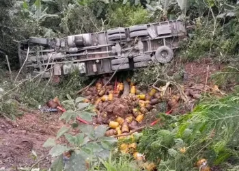 El camión quedó volcado de costado/RRSS