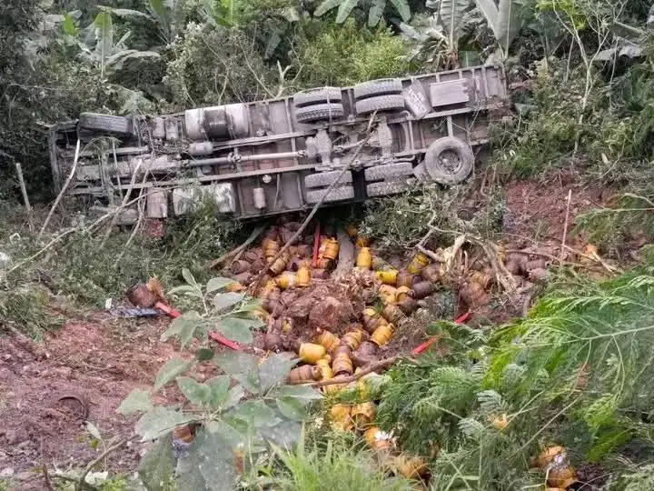 El camión quedó volcado de costado/RRSS