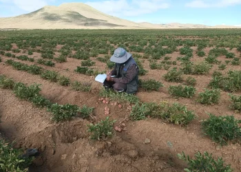 Créditos, tierra y poder: la otra cara de la Ley 157
