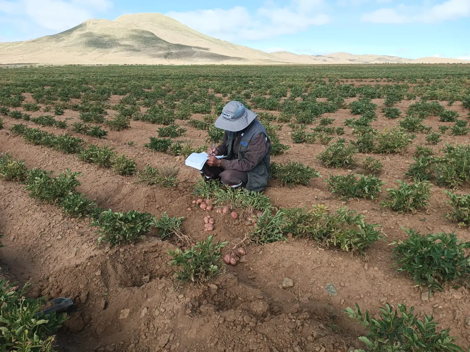 Créditos, tierra y poder: la otra cara de la Ley 157