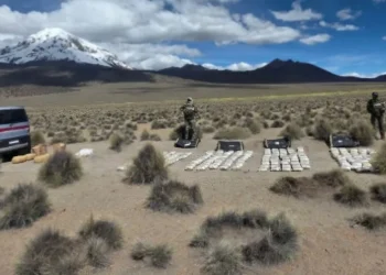 Más de 268 kilos de marihuana son hallados en parque Sajama