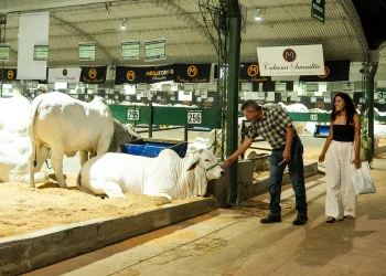 Agropecruz 2026 se consolida como epicentro del agronegocio