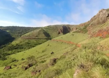 Tierras raras: En Bolivia, se registran al menos siete tipos con mayor presencia