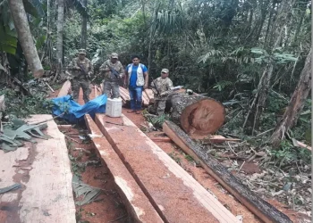 Armada Boliviana refuerza control contra la tala ilegal en el Beni