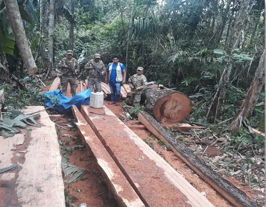 Armada Boliviana refuerza control contra la tala ilegal en el Beni