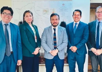 Gobierno y BID coordinan acciones para modernizar el sector eléctrico