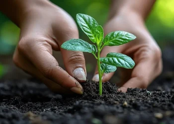 Una de cada cinco especies del suelo enfrenta riesgo de extinción
