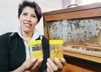 Norte paceño fortalece su apicultura con el proyecto ‘Mundo Abejas’