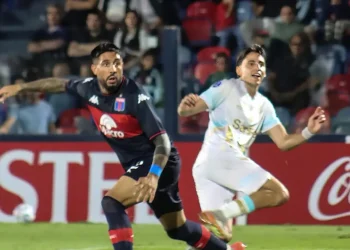 Un inofensivo Tigre cae en casa en la Sudamericana