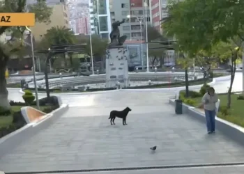 Afines a Yahuasi levantan vigilia en plaza Abaroa y se restablece la circulación