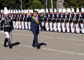 paz_colmil.jpg