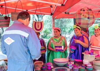 YPFB impulsa proyectos sostenibles en el Chaco para familias indígenas