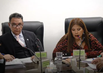 Salinas responde en comisión de Diputados por contratación del Hércules accidentado