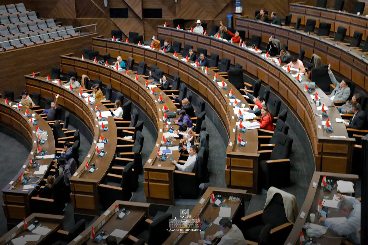 Diputados aprueba ley que fija límites entre Porco y Caiza D en Potosí