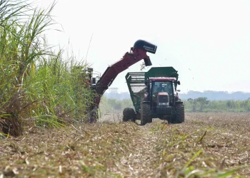 Cañeros piden abastecimiento de diésel para garantizar etanol