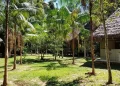 San Miguel del Bala: comunidad amazónica que convierte la selva en sustento y turismo
